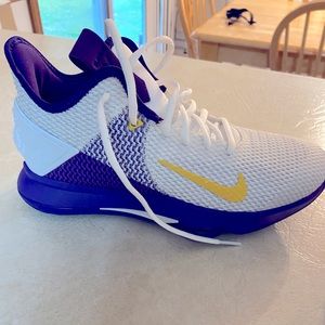 Lebron James Nike Basketball Shoes